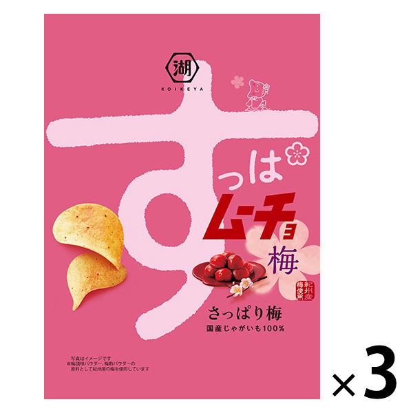 코이케야 슷파무쵸 칩스 산뜻하게 우메보시맛 1세트(3 포)