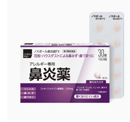 노스폴 비염정 FX