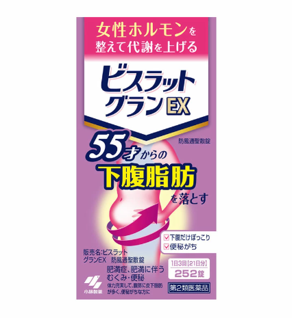 비스라트그란EX 방풍통성산정 252정