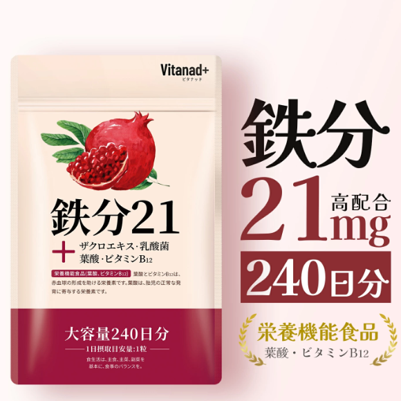 철분 21mg 사프리 240정