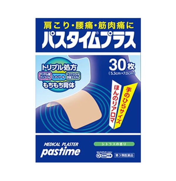 파스 타임 플러스