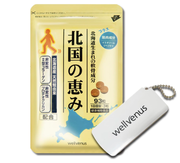 서플리먼트 북국의 은혜 프로테오글리칸 2형 콜라겐 히알루론산 배합 93알