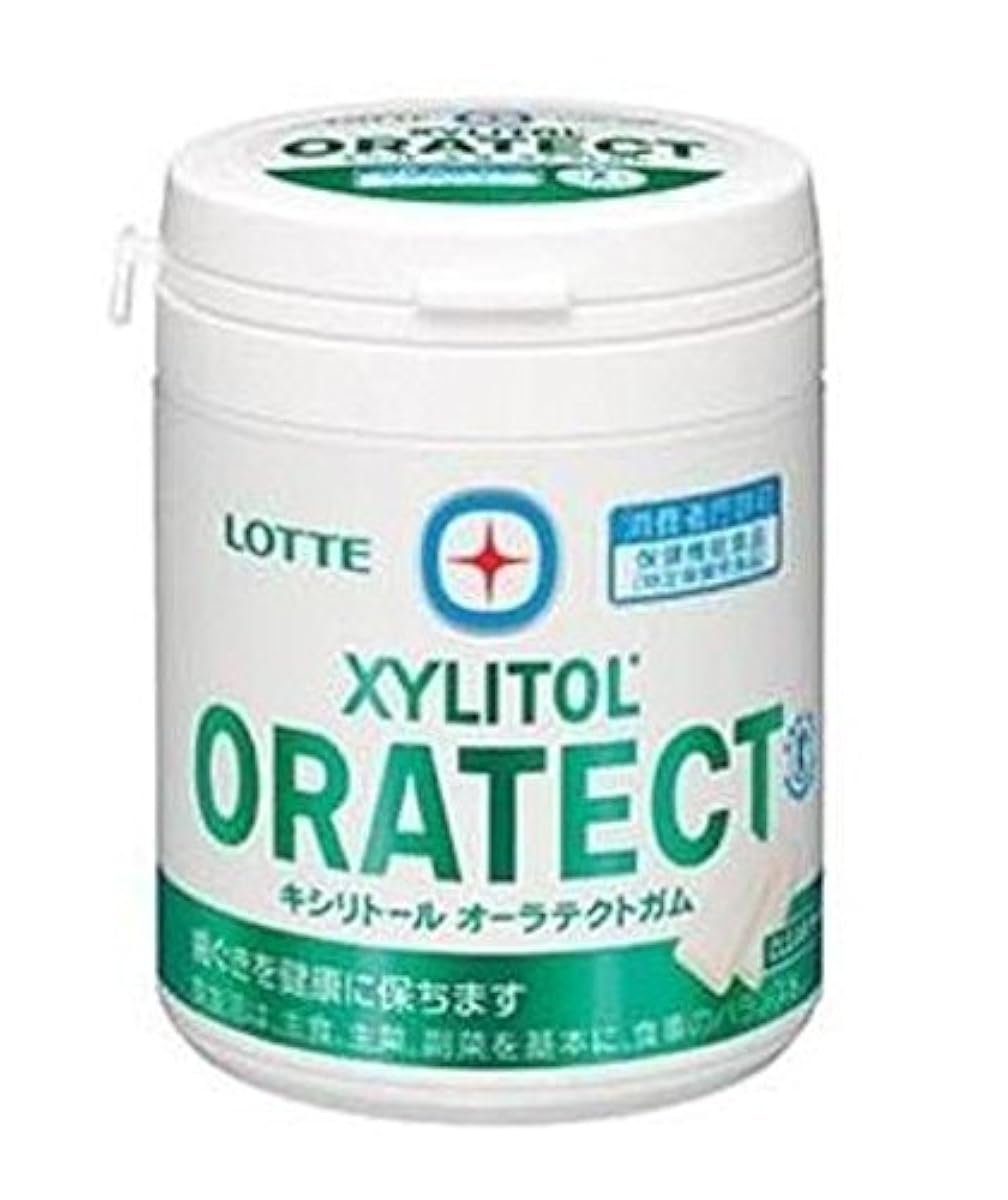롯데 자일리톨 짭짤한 김 맛 테크도가무(클리어 민트) 패밀리 보틀 143g-