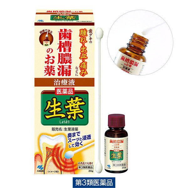 (제3류의약품) 생엽액약 1개(20g) 코바야시 제약