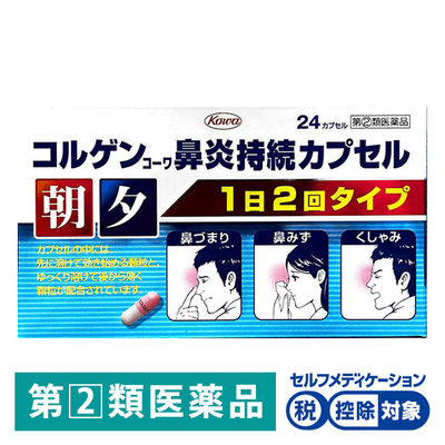 코르겐 코와 비염 지속 캡슐 24 캡슐