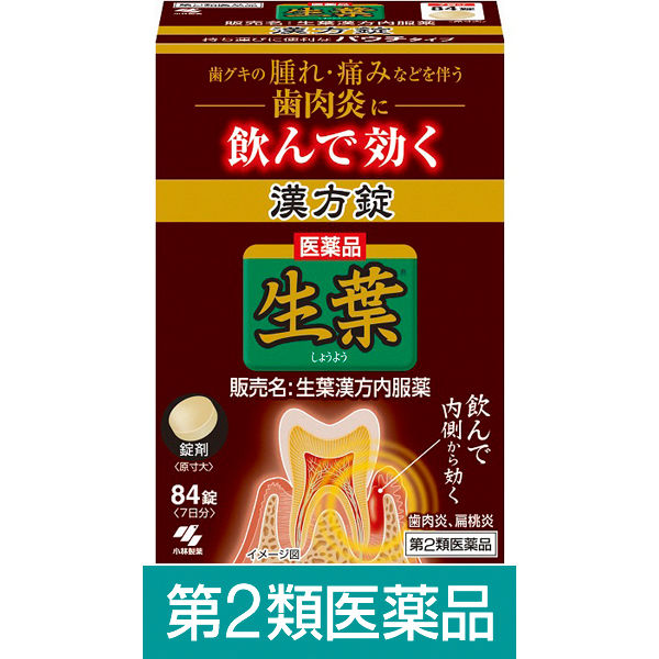 코바야시 생엽 한방 치은염 구내염 84정