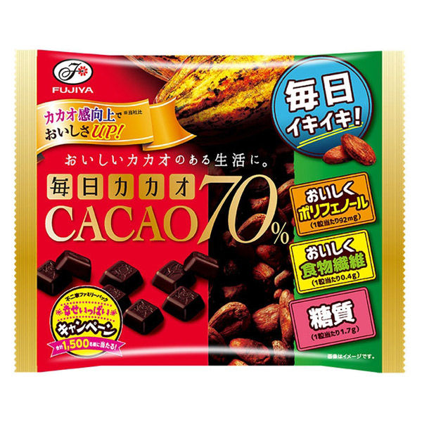 (Fujiya) 매일 카 70% 152g 1봉지