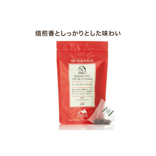 루피시아 홍차 다르질링(Darjeeling)・더 어텀(autumn) null 티 백(10개입)