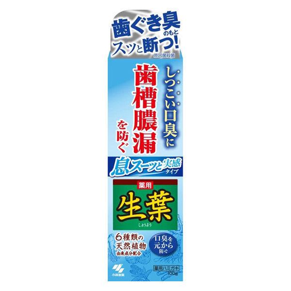 생엽 (하 # 것인 바와 같이(하도록)) 식수와 실감 타입 치조농루를 막는 약용하미가키 끈덕진 구취로 100g 1개(의약부외품)코바야시 제약