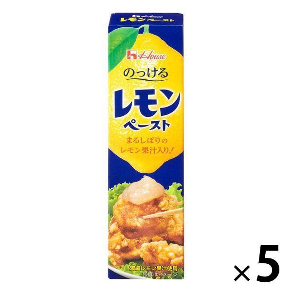 하우스 레몬 Paste 40g 5개