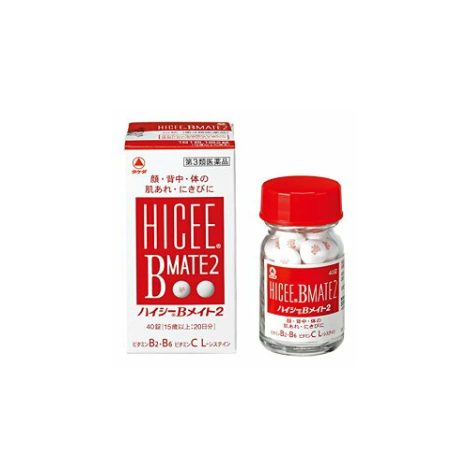 하이시 B메이트