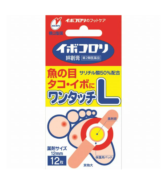 이보콜로리 유창고