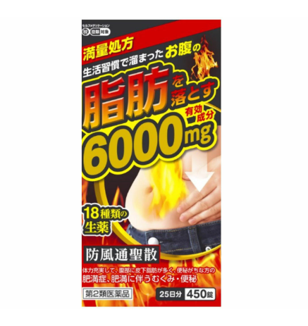 방풍통성산료 엑기스 지성 450정