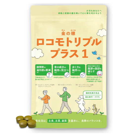 로코모리플 플러스 1  120정