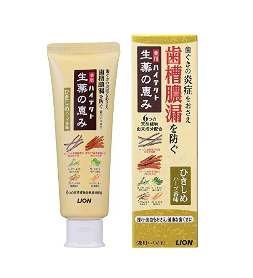 라이온 하이테크 약용 치약 수렴허브향 90g