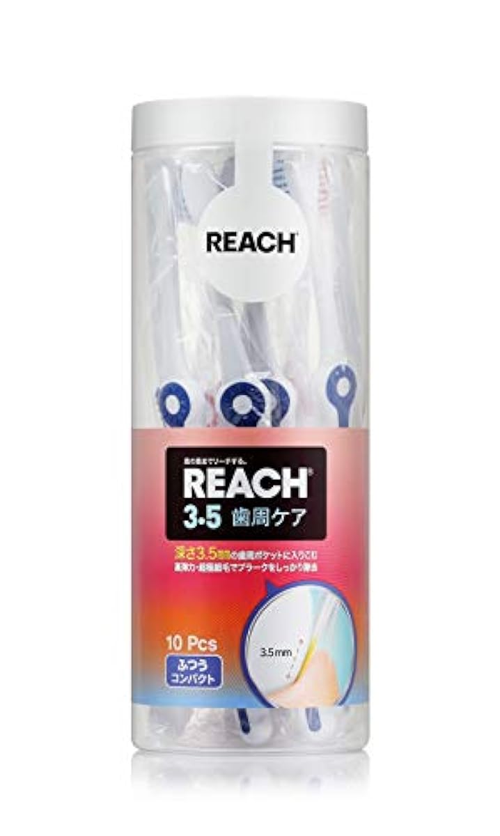 리치맛 3.5 치주케어 칫솔 콤팩트 보통 (10개입) REACH 칫솔 어른용