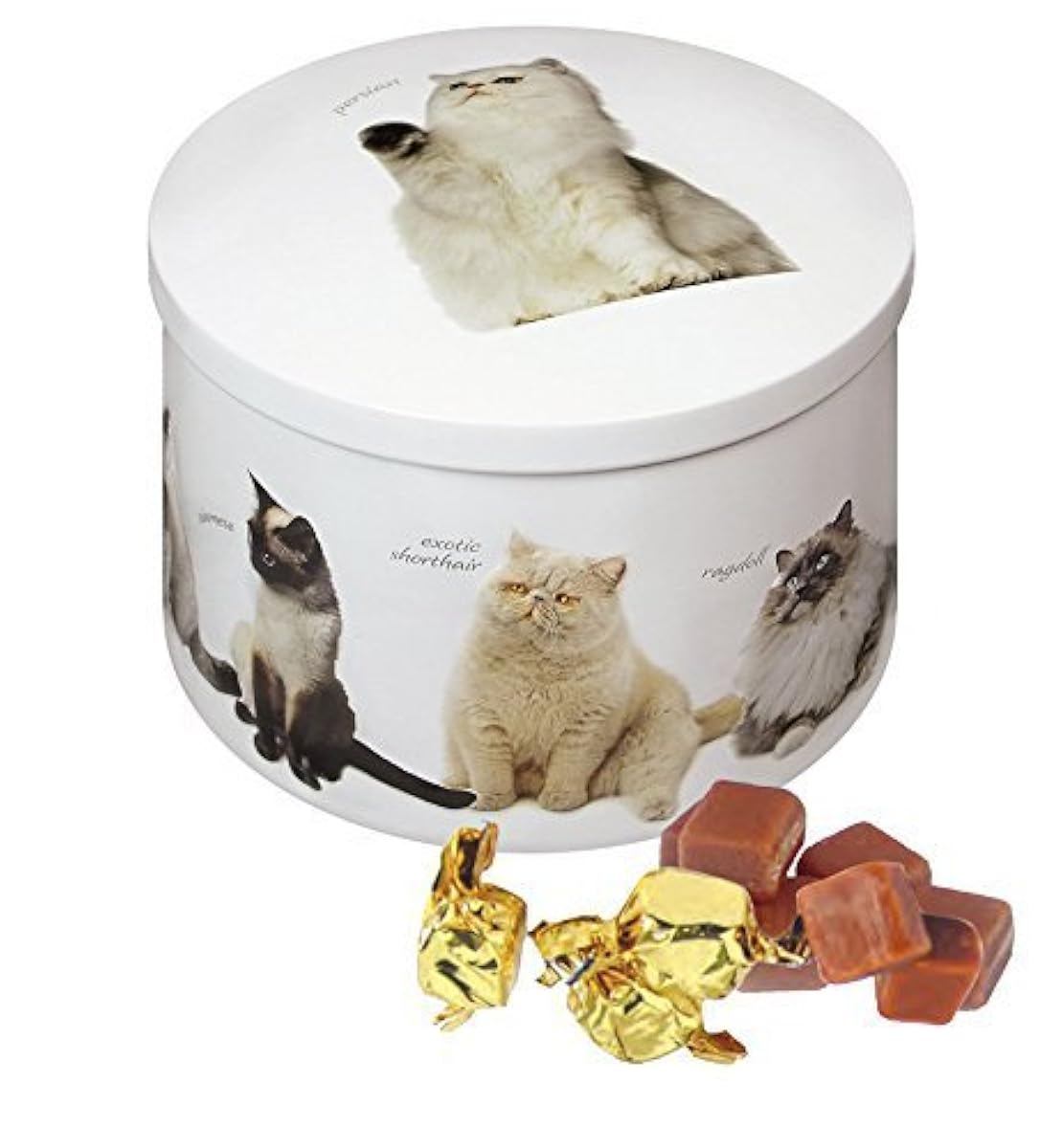 가디나즈 오브 스코틀랜드 훗지 (바닐라훗지 CAT 200g)-9070