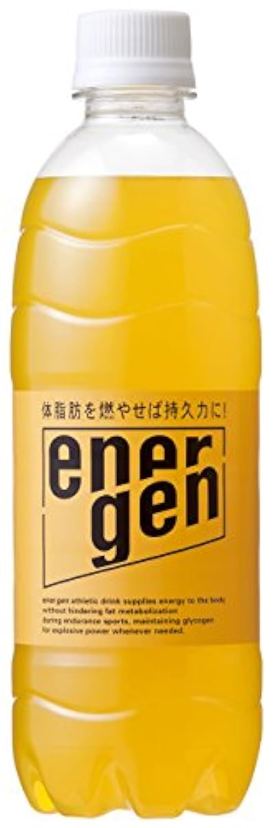 오오츠카 제약 에너지루겐 피트병 500mL×24개-B000K80SW2 에너지《루겐》