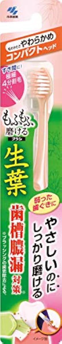 생엽(하 # 것인 바와 같이(하도록)) 도 #도 # 닦을 수 있는 브러시 칫솔 콤팩트 헤드 유연함(부드러움) 거북이 1개 치조농루 대책