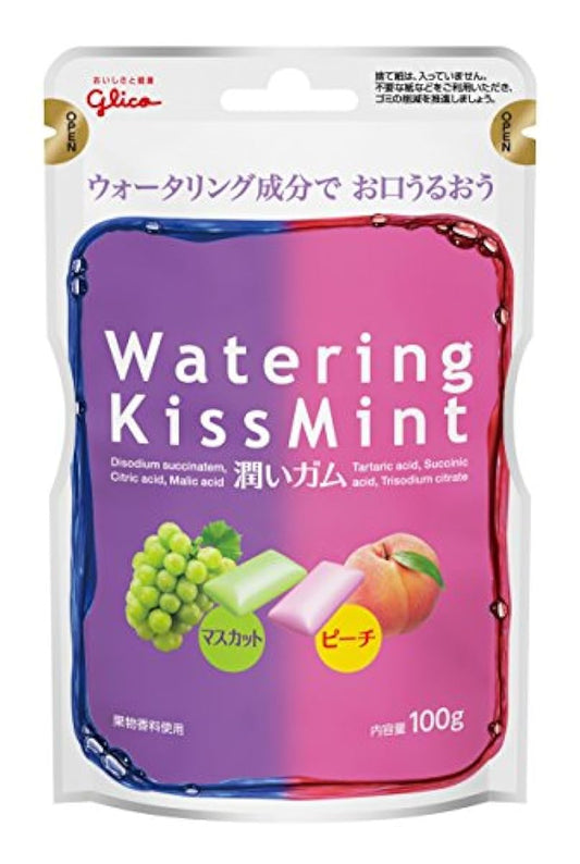 에사키 글리코 워터 링 키스 민트 머스컷 amp;피치 에코 파우치타입 100g-