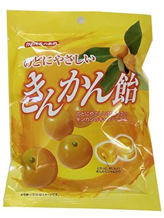카와구치 제과 목에 상냥한 세균인지(든가)지 않겠 엿 100g×10 포-