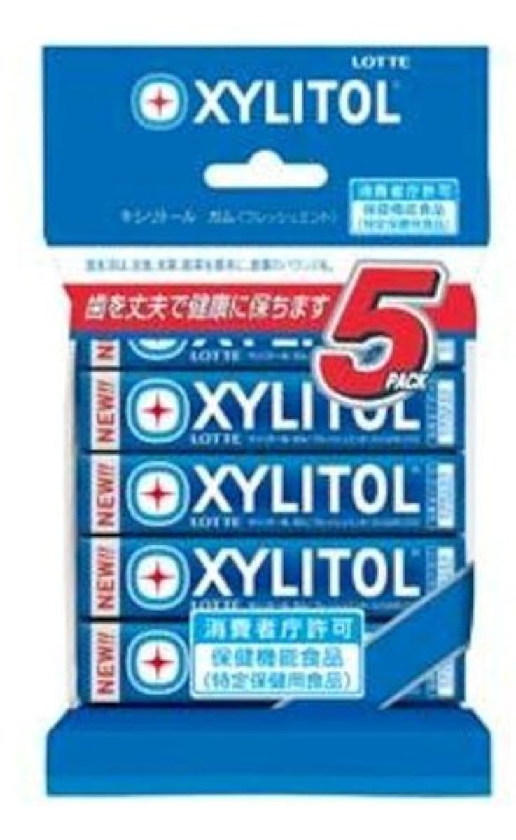 롯데 자일리톨 껌 플래시 민트 5팩-