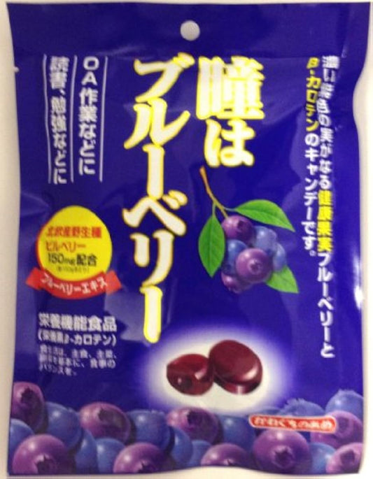 카와구치 제과동은 블루베리 100g×10 포-