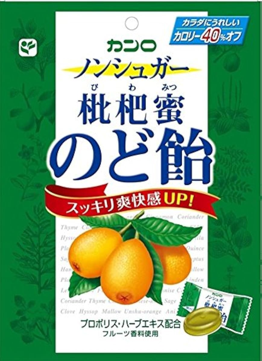 칸로 non슈가 비파나무밀 목캔디 90g×6 포- (2011-02-21)