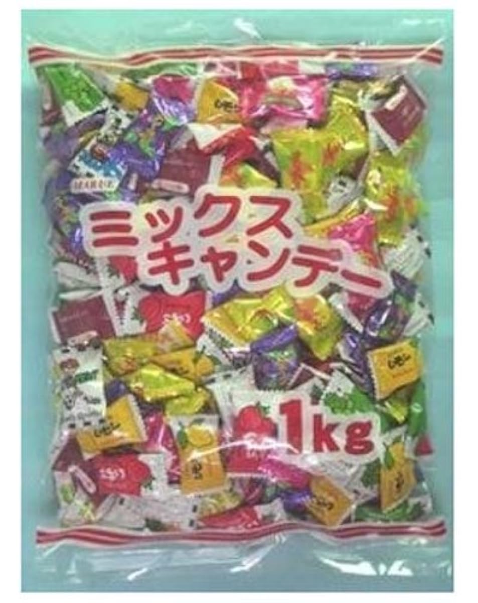 말에제과 말에밋쿠스캬디 1kg-