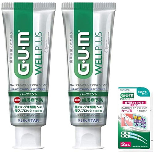 GUM(껌) (의약부외품)웰 플러스 치주병예방 하미가키 덴탈 Paste 허브 민트 (고농도 불소1450ppm배합) ×2개+덤 포함 125g×2개+덤 포함