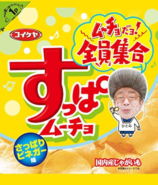 코이케야 슷파무쵸 칩스 산뜻하게 식초 맛 55g×12 포-530040