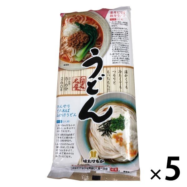 털어라(안)중국수 제조 명산 우동 260g 5개