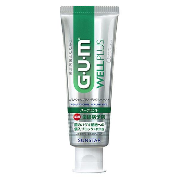 껌 웰 플러스 덴탈 Paste 허브 민트 125g 썬스타 GUM 치약 블럭 살균치 주병충치 구취 치석 제거 오름 농도 불소