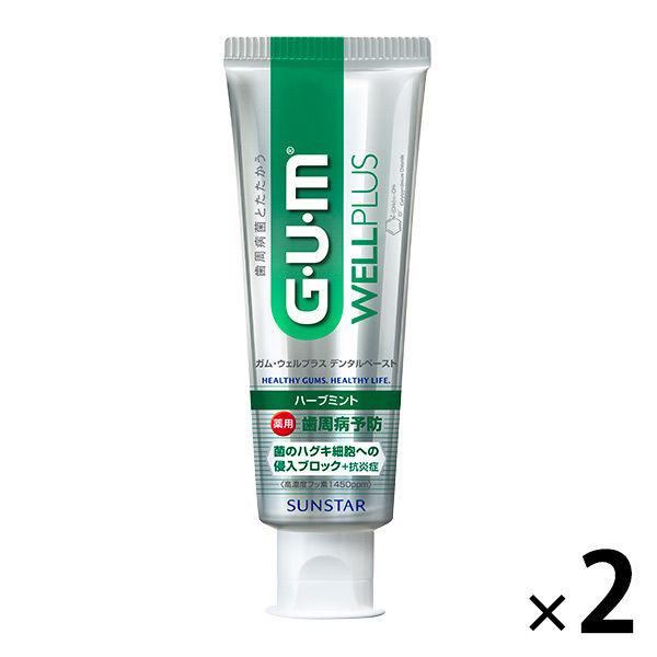 껌 웰 플러스 덴탈 Paste 허브 민트 125g 2개 썬스타 GUM 치약 블럭 살균치 주병충치 구취 오름 농도 불소