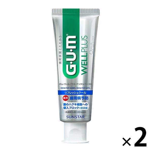 껌 웰 플러스 덴탈 Paste 리프레시 쿨 125g 2개 썬스타 GUM 치약 블럭 살균치 주병충치 구취 오름 농도 불소